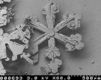 Microscopic Snowflakes Image 5
