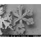 Microscopic Snowflakes Image 5