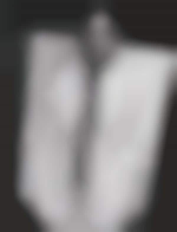Stiff Suitography