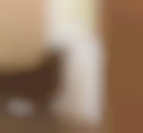 Pet Door Blockers