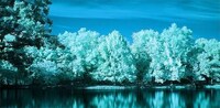 Infrared Images Image 2