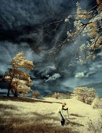 Infrared Images Image 3