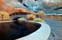 Infrared Images Image 4
