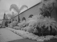 Infrared Images Image 6