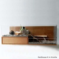 Luxurious Rodent Homes Image 5