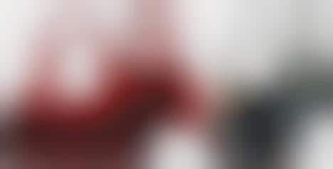 Sustainable Luxury Handbags