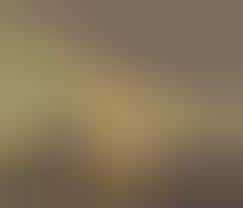 Monstrous Love Interests