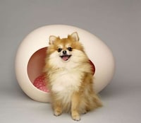 Egg-Shaped Pet Beds Image 3