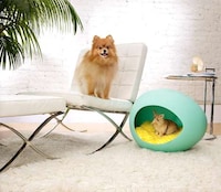Egg-Shaped Pet Beds Image 5