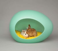 Egg-Shaped Pet Beds Image 7