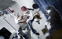 Killer Action Portraiture Image 6
