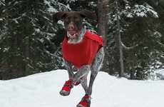 Canine Snow Shoes