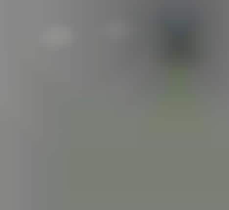 Treetop Tablet Displays