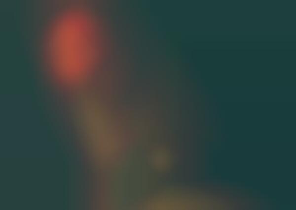Fiery Sunshine Shoots