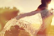 100 Sizzling Sunny Shoots