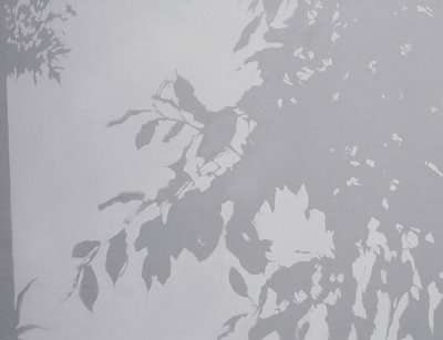 Illusory Reflections