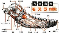 Monstrous Anatomy Guides Image 4