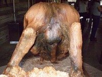 Extreme Bovine Edibles Image 2