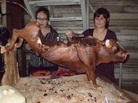 Extreme Bovine Edibles Image 3