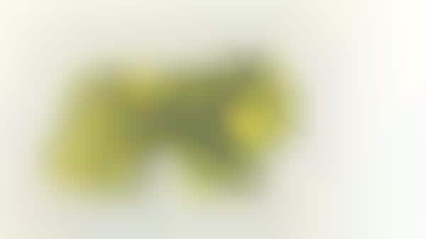 Blurry Beast Art
