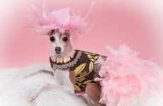 Doggie Boudoir Fashions