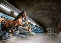 Reality-Bending Photography Image 8