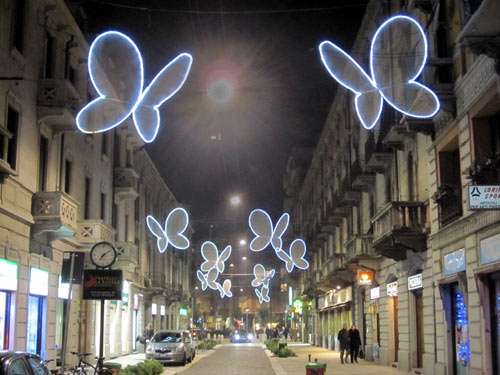 Illuminated Insect Installations