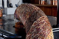 Reincarnated Feather Sculptures Image 5