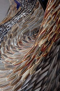 Reincarnated Feather Sculptures Image 6