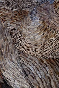 Reincarnated Feather Sculptures Image 7