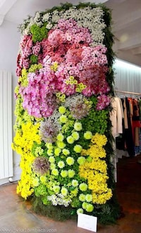 Delicate Floral Installs Image 5