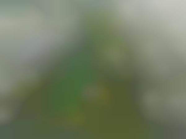 Environmental Cityscapes (UPDATE)