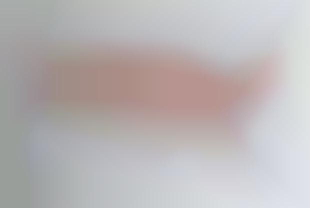 stephanie seymour dating