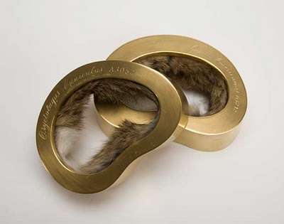 Roadkill Jewelry