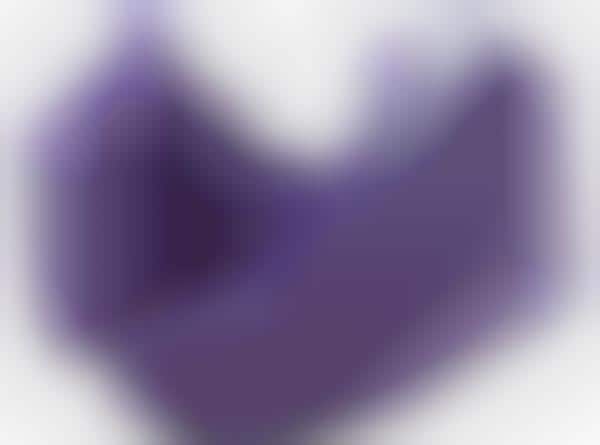 Violet Court Kicks