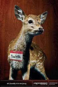 Grinning Woodland Animals Image 2