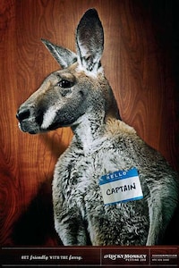 Grinning Woodland Animals Image 3