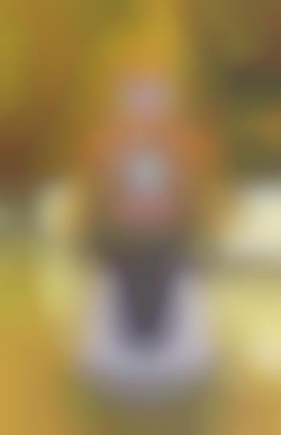 autonomous robotic machine