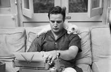 Feline Fashion Blogs