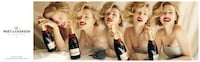 Iconic Blonde Bubbly Campaigns Image 4