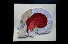 Anatomical Papercrafts