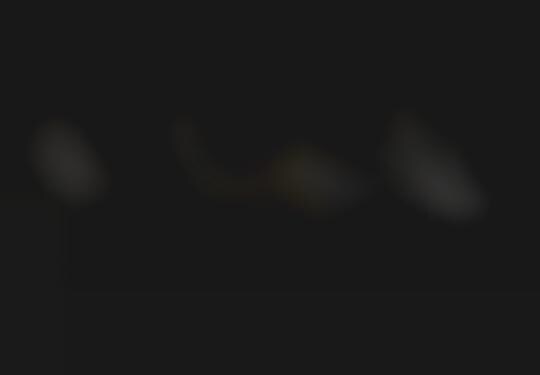 black history month shoe