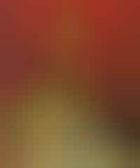 Fake Chinese Facebooks