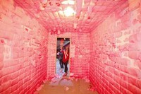 Cotton Candy Enclosures Image 5