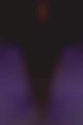 Bovine-Inspired Collections