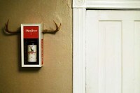 Wildlife Whiskey Packaging Image 2
