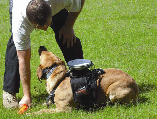 High-Tech Doggy Packs