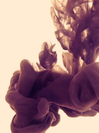 Ethereal Ecological Artworks Image 5
