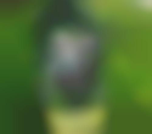 Peculiar Pet Strollers