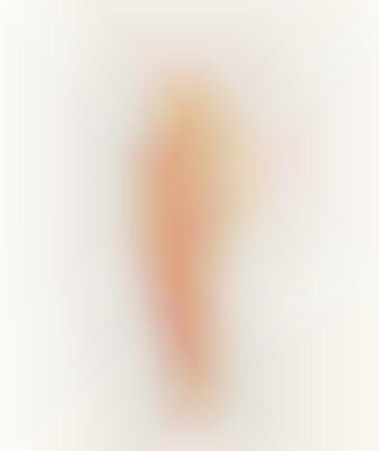 From Erotic Spam to Art